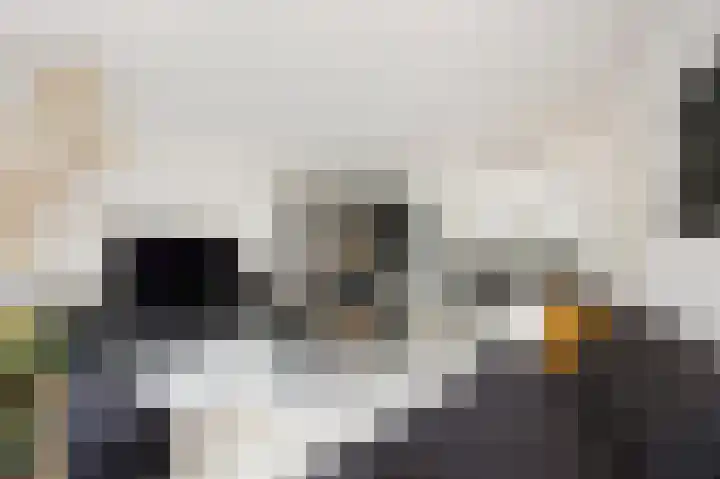 In de Mehre 85 B Susteren thumbnail 12