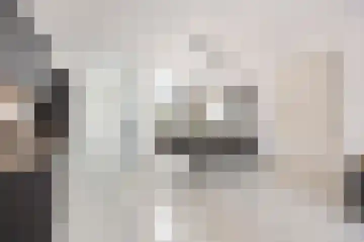 In de Mehre 85 B Susteren thumbnail 13