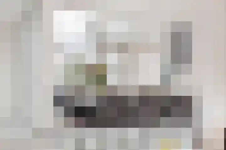 In de Mehre 85 B Susteren thumbnail 14