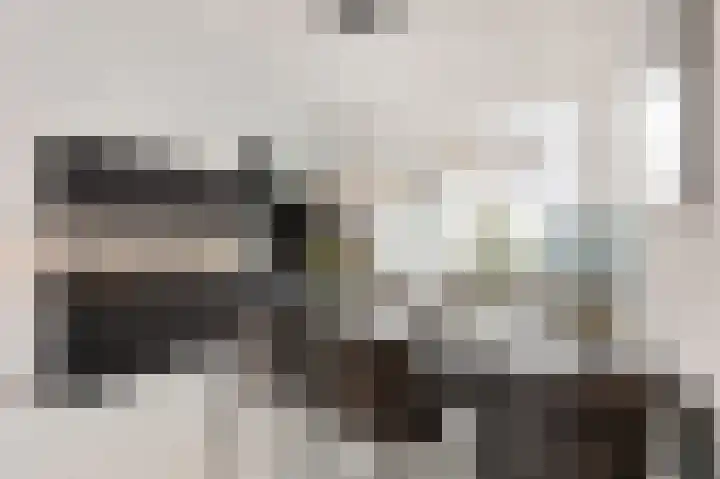 In de Mehre 85 B Susteren thumbnail 15
