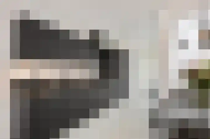 In de Mehre 85 B Susteren thumbnail 16