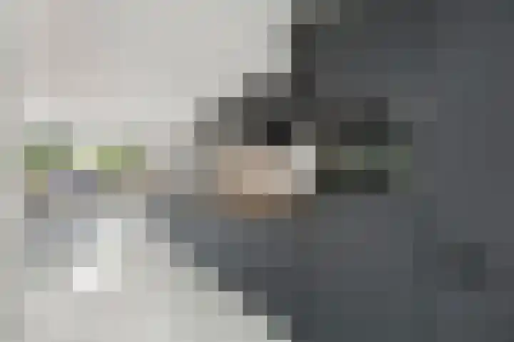 In de Mehre 85 B Susteren thumbnail 17