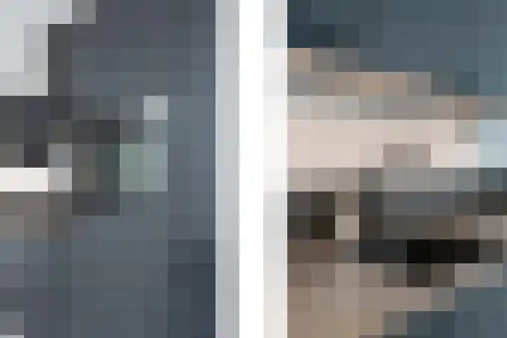 In de Mehre 85 B Susteren thumbnail 18