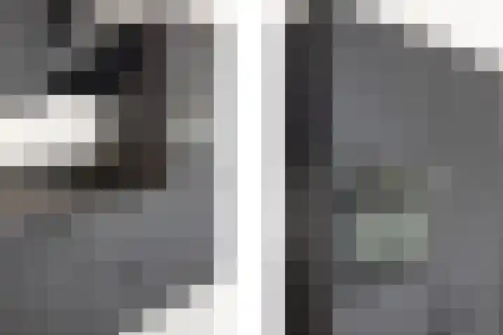 In de Mehre 85 B Susteren thumbnail 20