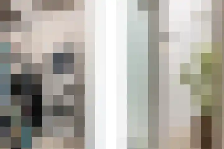 In de Mehre 85 B Susteren thumbnail 21