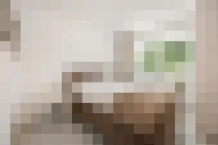 In de Mehre 85 B Susteren thumbnail 22