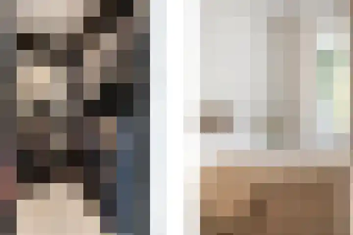 In de Mehre 85 B Susteren thumbnail 25