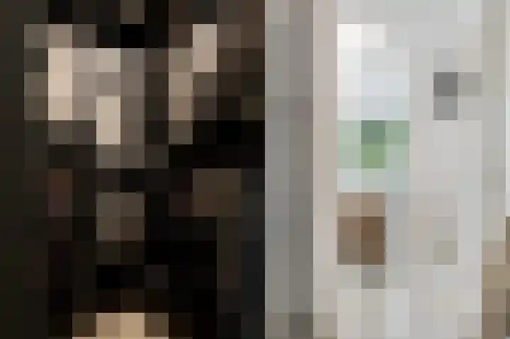 In de Mehre 85 B Susteren thumbnail 26