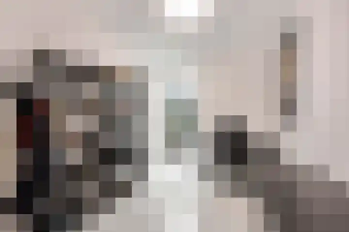 In de Mehre 85 B Susteren thumbnail 27