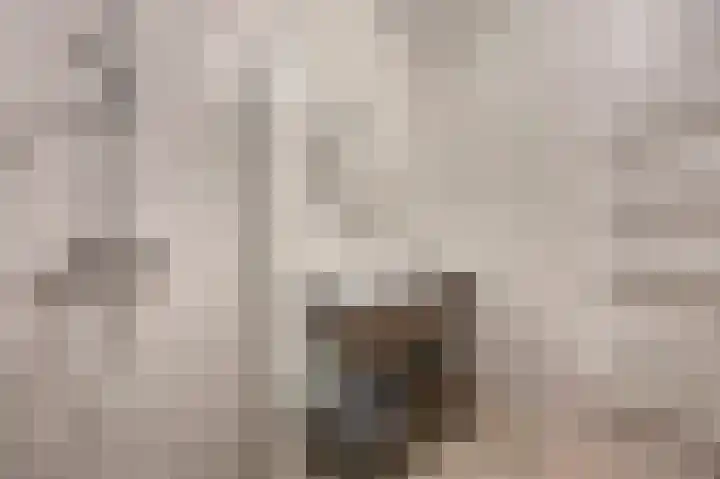 In de Mehre 85 B Susteren thumbnail 29