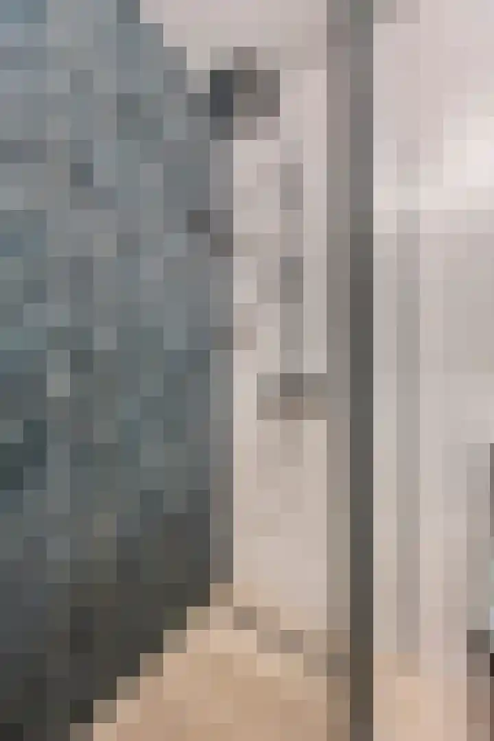 In de Mehre 85 B Susteren thumbnail 30