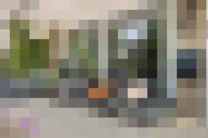 In de Mehre 85 B Susteren thumbnail 33