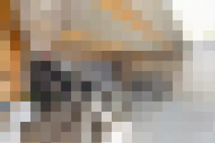 In de Mehre 85 B Susteren thumbnail 35