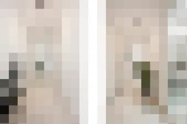 In de Mehre 85 B Susteren thumbnail 7