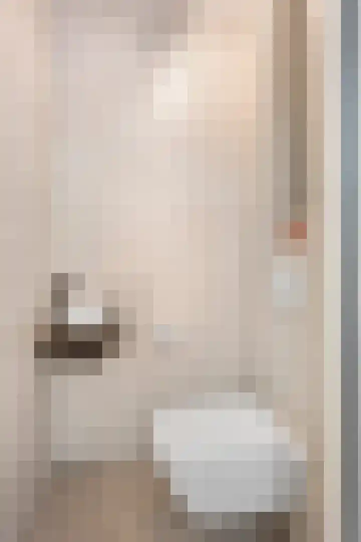 In de Mehre 85 B Susteren thumbnail 8