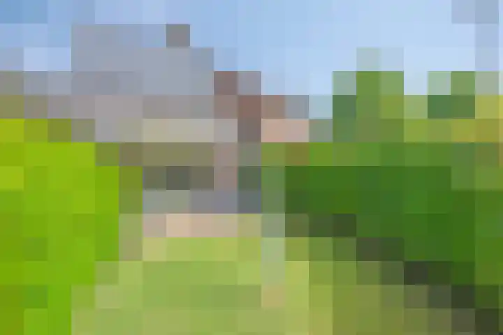 In de Molt 99 Margraten thumbnail 22