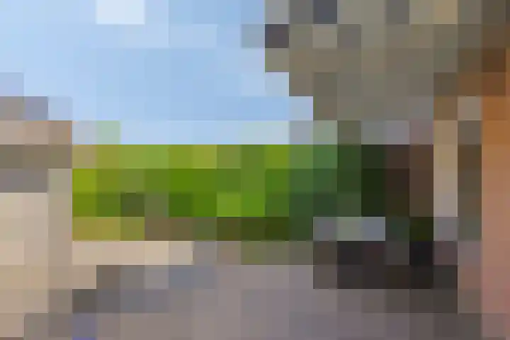 In de Molt 99 Margraten thumbnail 23