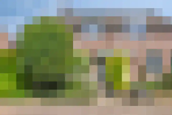 In de Molt 99 Margraten thumbnail 27