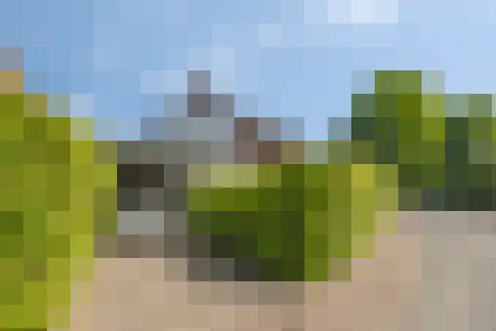 In de Molt 99 Margraten thumbnail 28