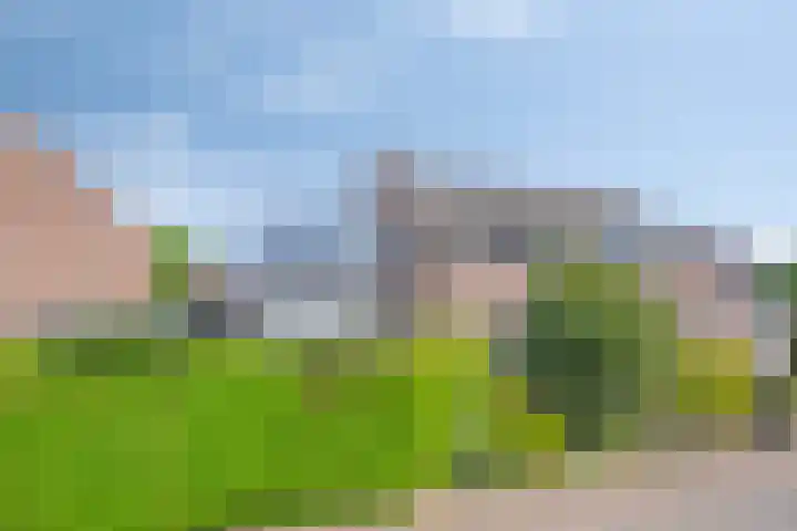 In de Molt 99 Margraten thumbnail 34