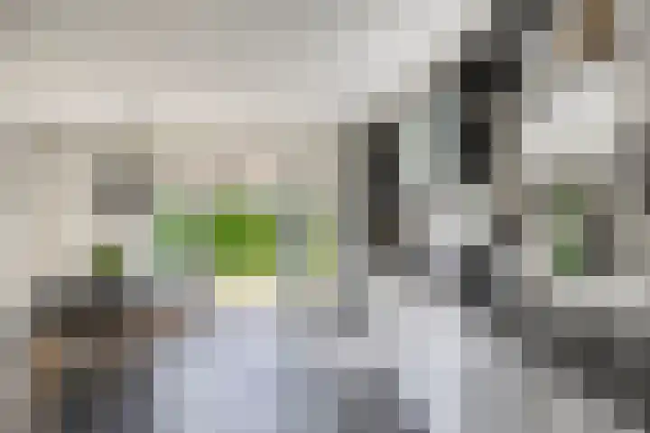 In de Molt 99 Margraten thumbnail 6