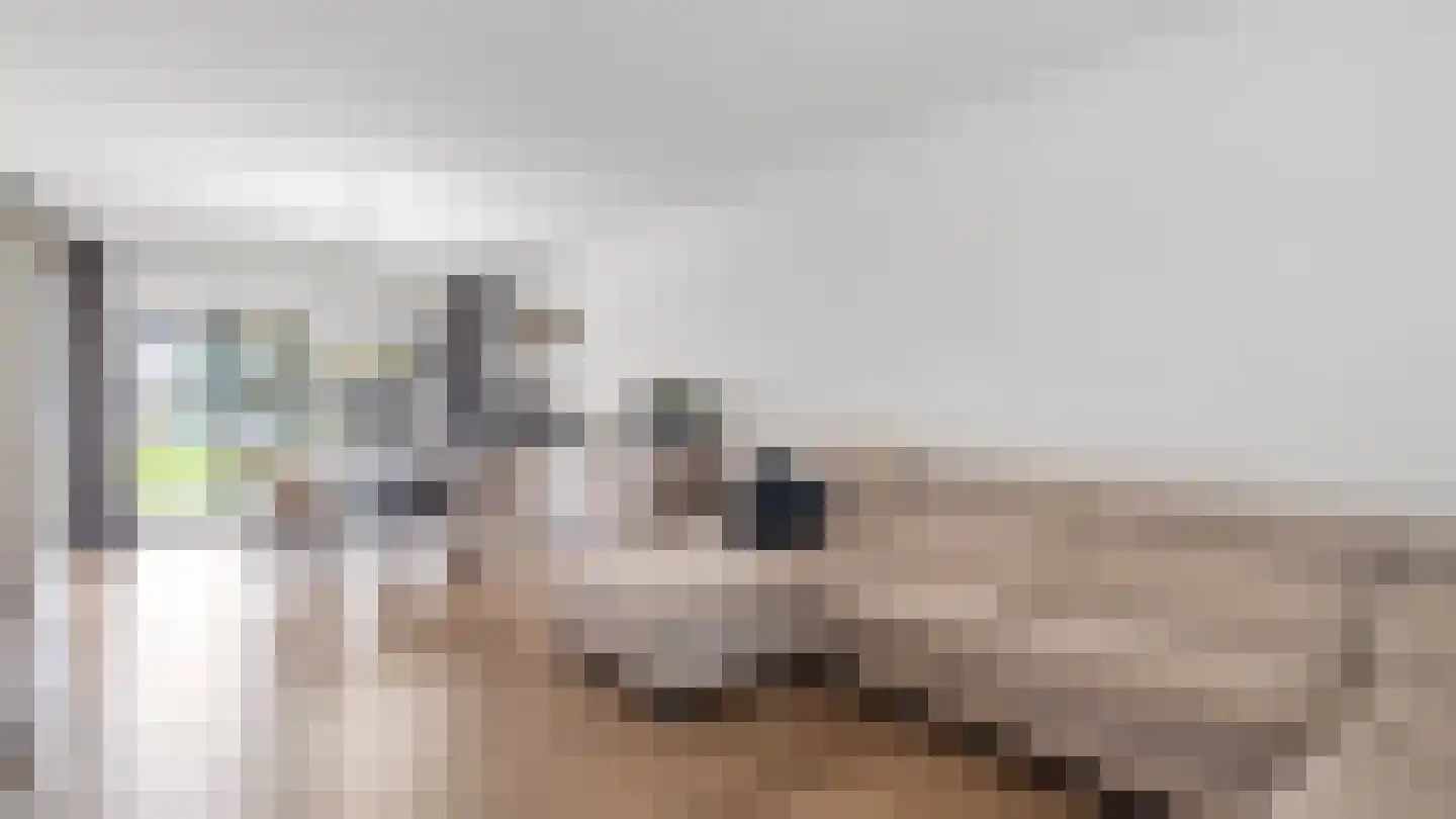 In de Mool 74 Arriën thumbnail 4