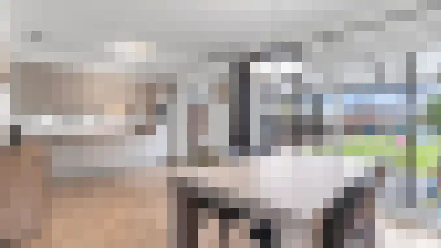 In de Mool 74 Arriën thumbnail 6