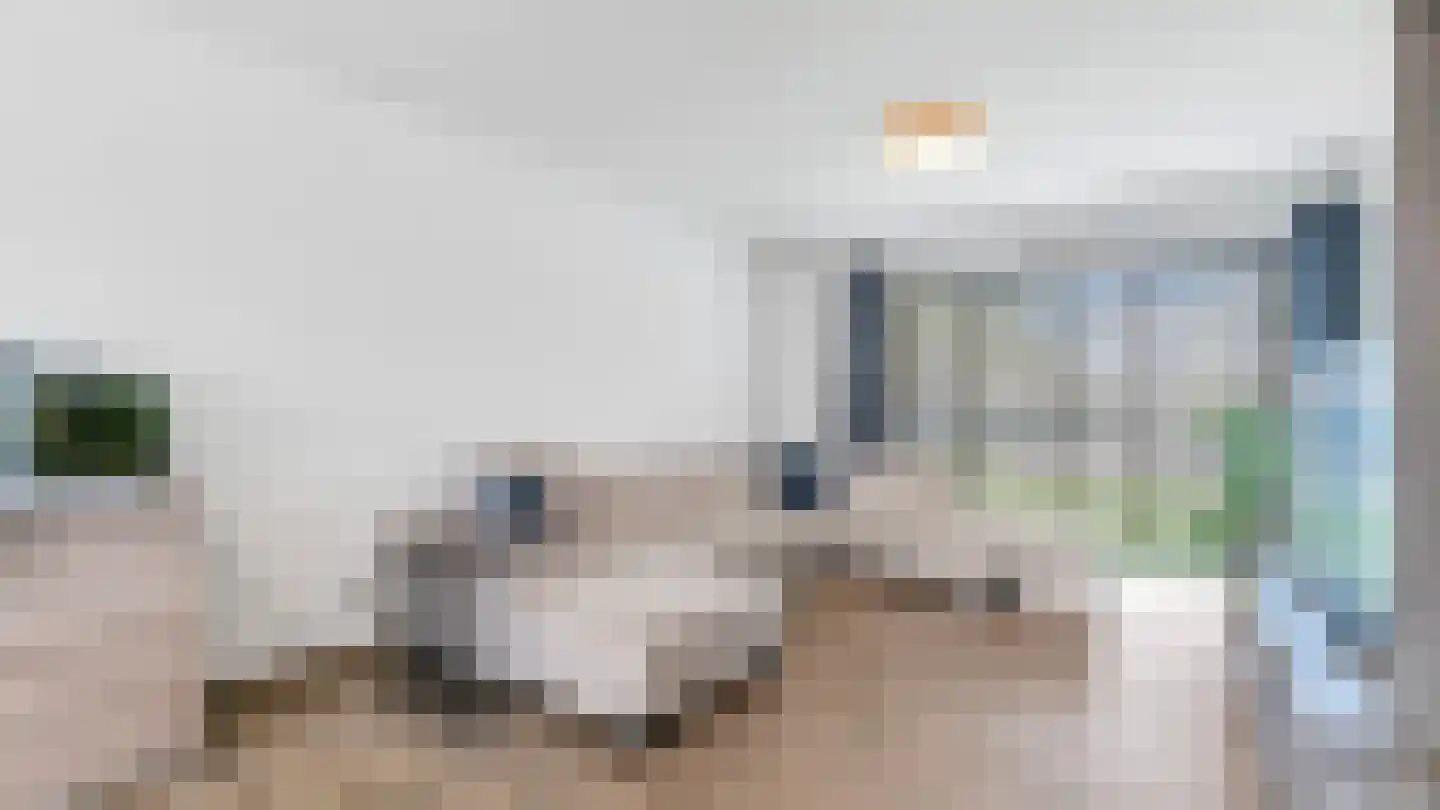 In de Mool 74 Arriën thumbnail 8