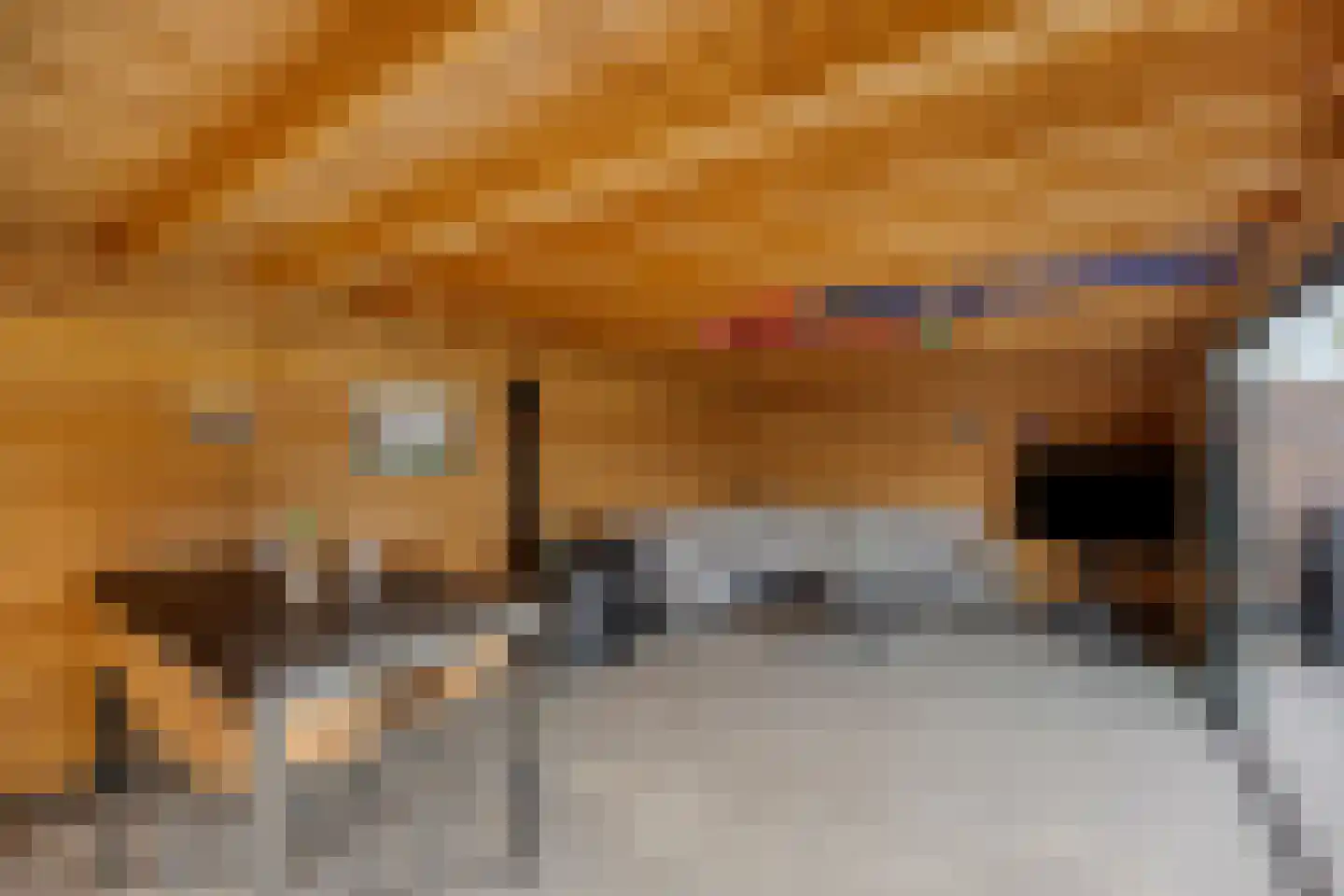 In de Neerakker 50 Heythuysen thumbnail 38