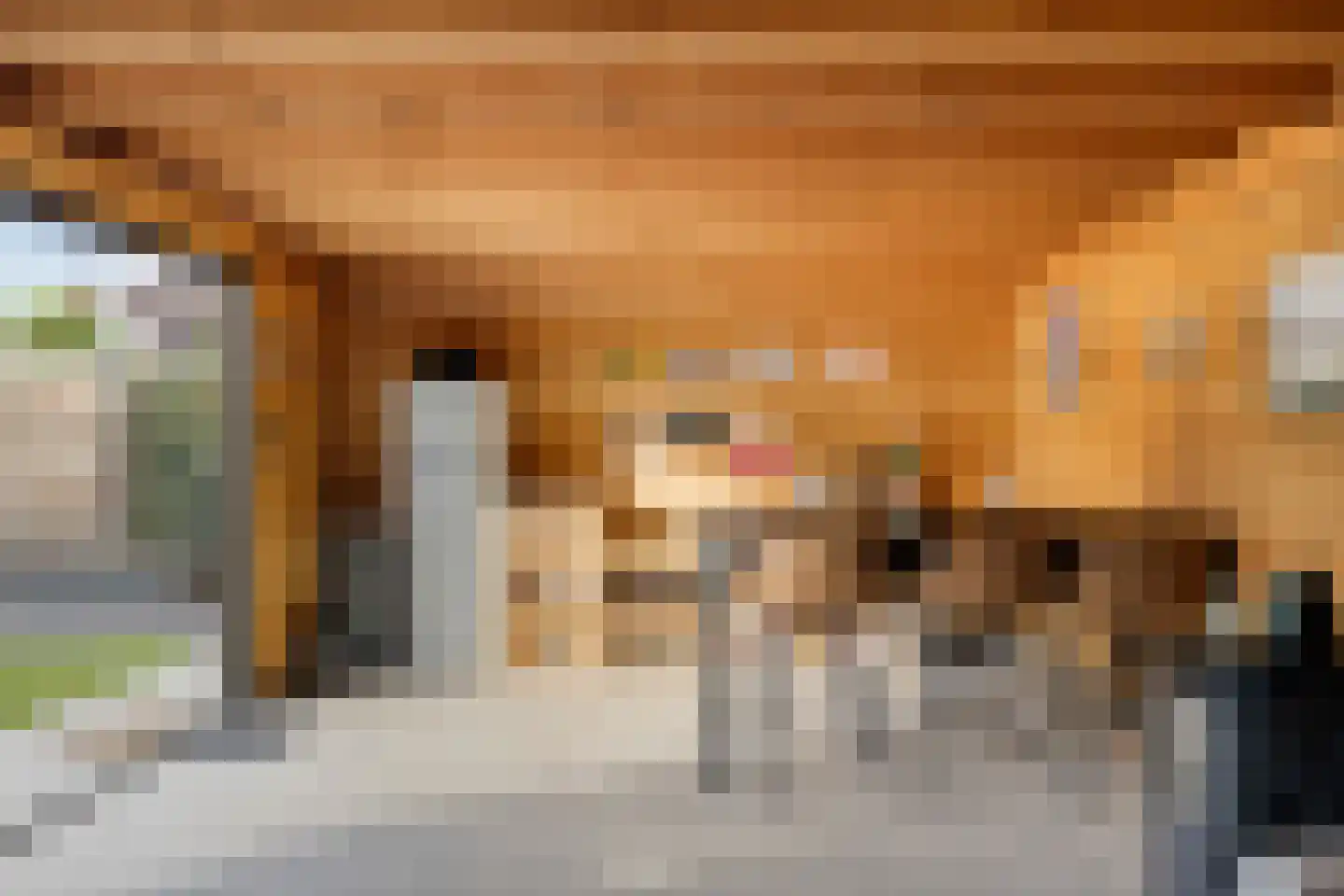In de Neerakker 50 Heythuysen thumbnail 39