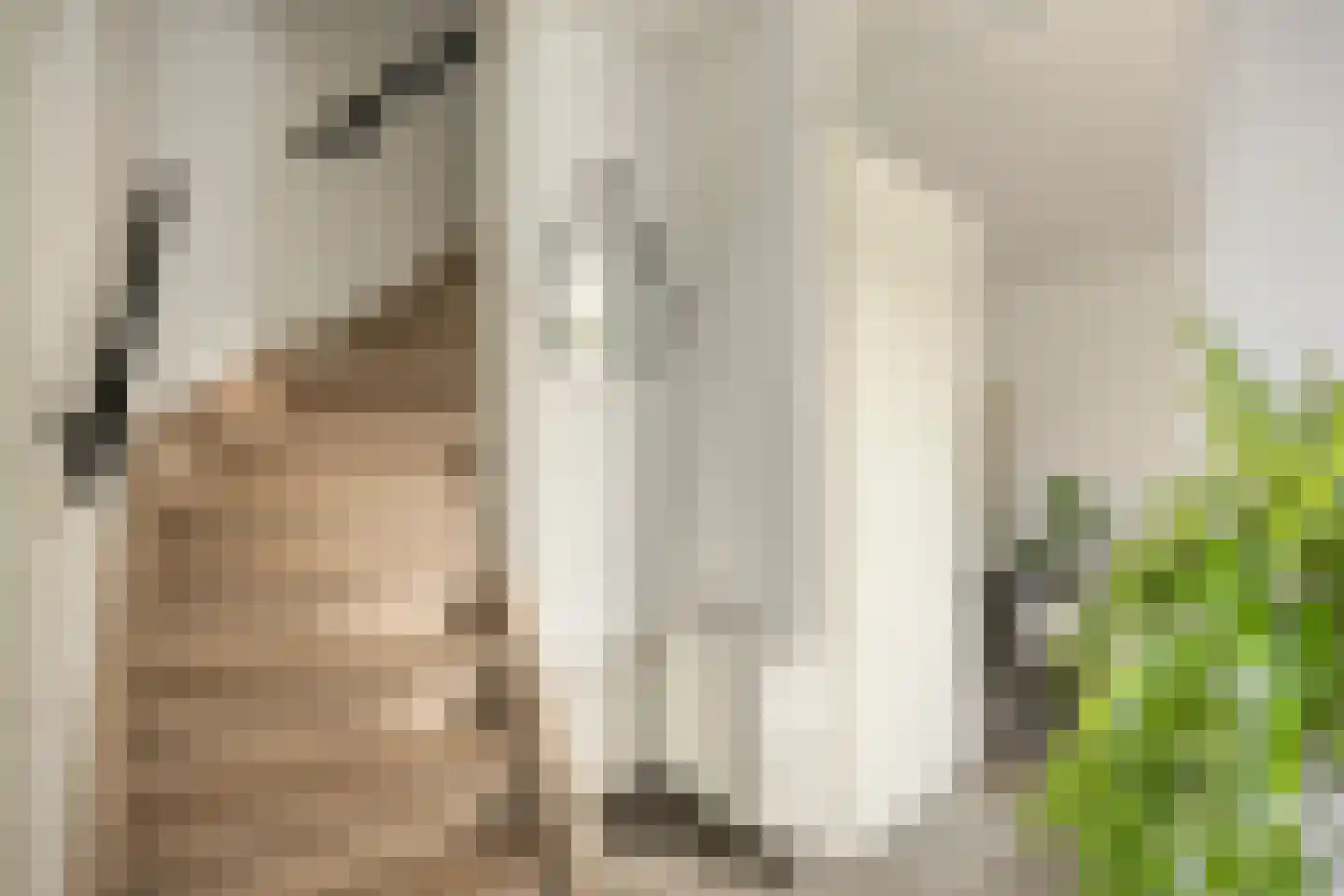 In de Neerakker 50 Heythuysen thumbnail 8