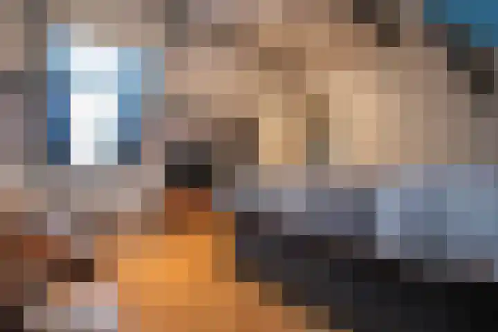 In de Neerakker 72 Heythuysen thumbnail 17