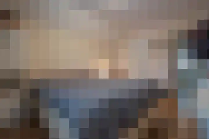 In de Neerakker 72 Heythuysen thumbnail 19