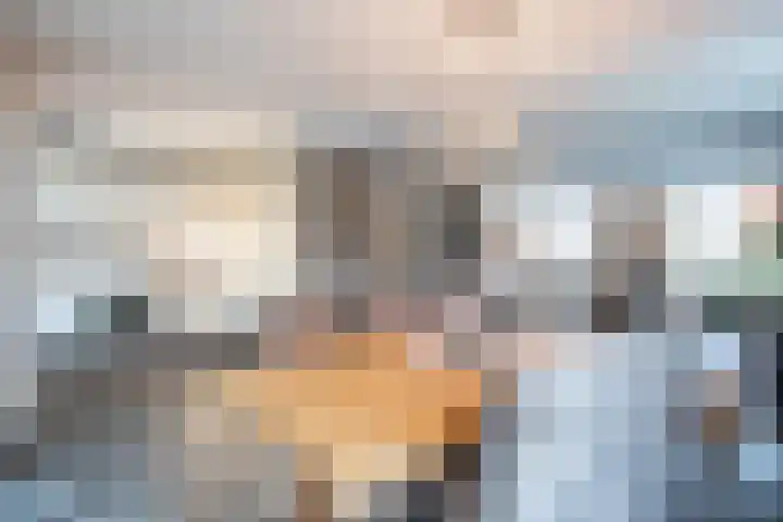 In de Neerakker 72 Heythuysen thumbnail 4