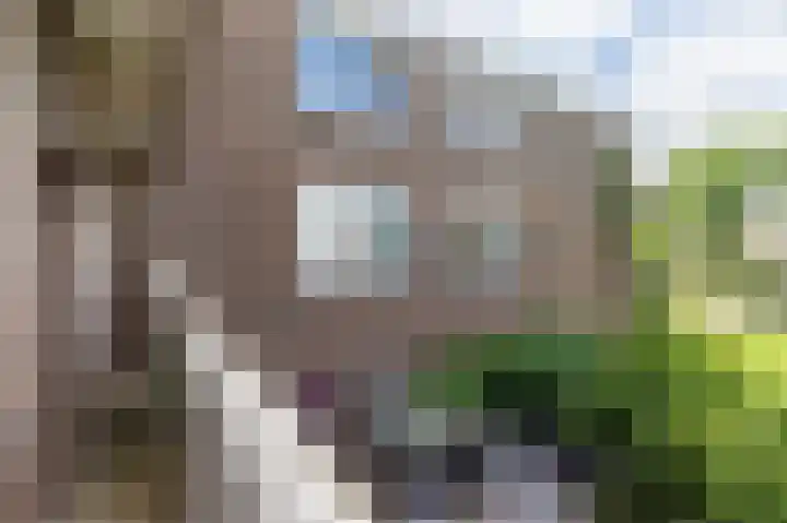 In de Papiermolen 19 Duivendrecht thumbnail 34