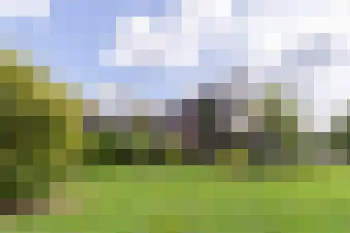 In de Papiermolen 19 Duivendrecht thumbnail 37
