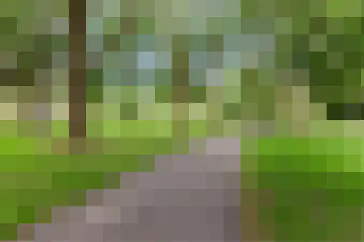 In de Papiermolen 19 Duivendrecht thumbnail 44