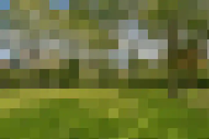 In de Papiermolen 29 Duivendrecht thumbnail 17