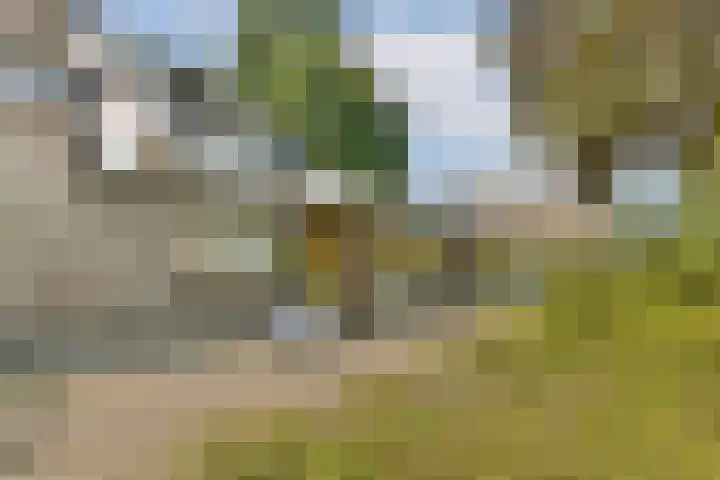In de Papiermolen 29 Duivendrecht thumbnail 18