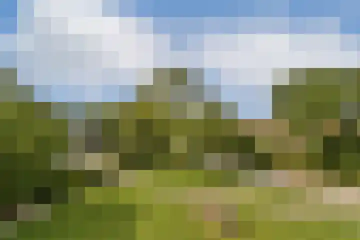 In de Papiermolen 29 Duivendrecht thumbnail 7