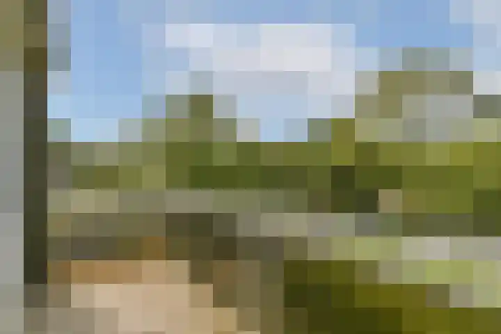 In de Papiermolen 29 Duivendrecht thumbnail 8