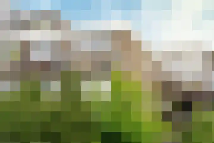 In de Papiermolen 7 Duivendrecht thumbnail 18
