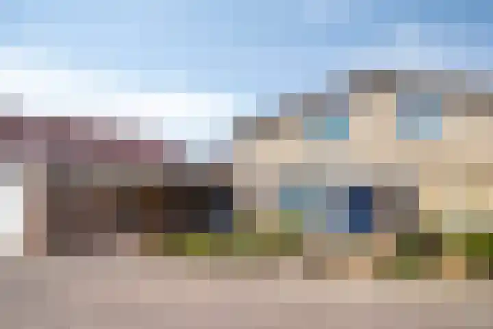 In de Riet 39 Horst thumbnail 13