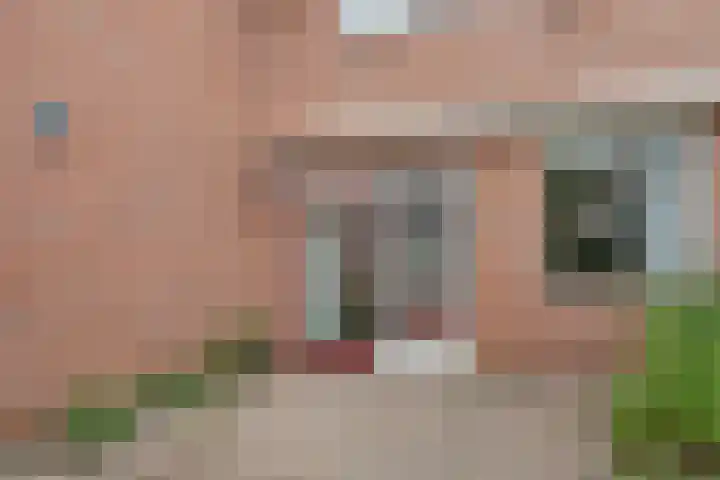In de Riet 39 Horst thumbnail 25