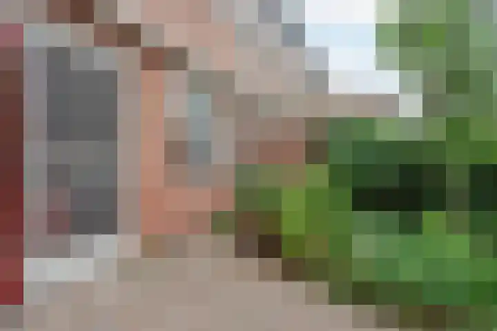 In de Riet 39 Horst thumbnail 26