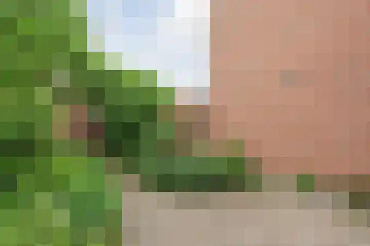 In de Riet 39 Horst thumbnail 28