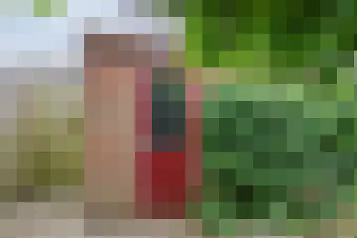 In de Riet 39 Horst thumbnail 31