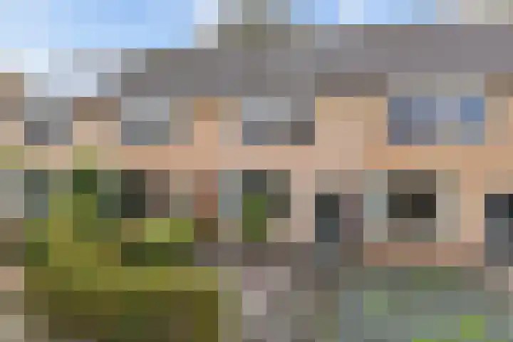 In de Riet 39 Horst thumbnail 32