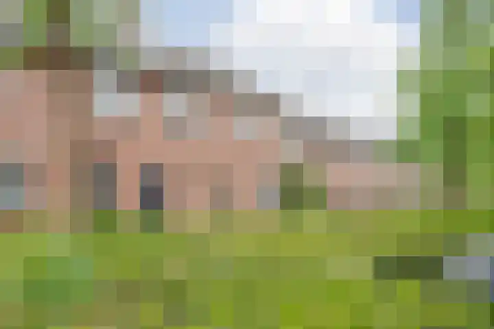 In de Riet 39 Horst thumbnail 33