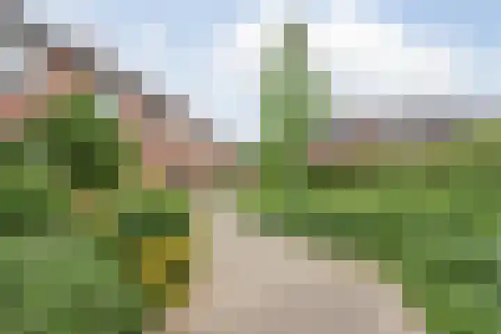 In de Riet 39 Horst thumbnail 35